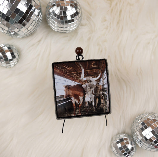 Longhorns | Fresh Linen