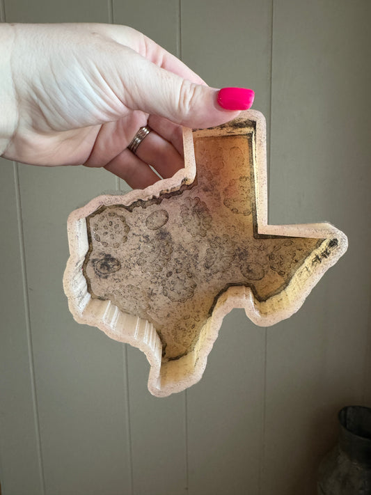Squash Blossom Texas | GNG7